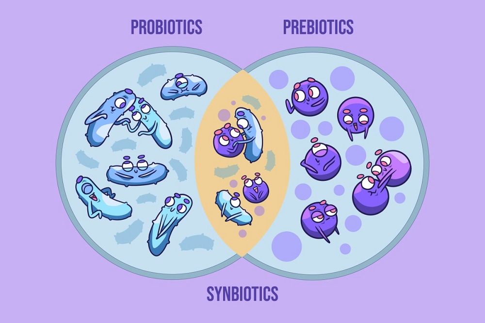 synbiotic-la-gi
