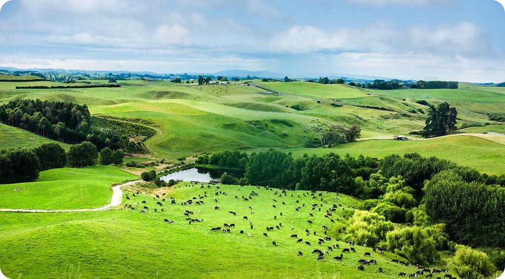 xuat-xu-aptamil-profutura